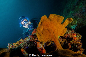 Frogfish with model by Rudy Janssen 